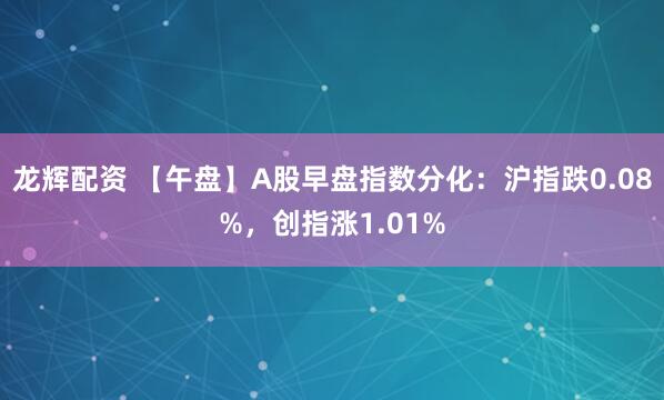 龙辉配资 【午盘】A股早盘指数分化：沪指跌0.08%，创指涨1.01%