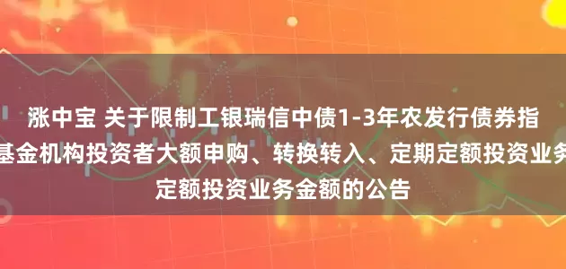 涨中宝 关于限制工银瑞信中债1-3年农发行债券指数证券投资基金机构投资者大额申购、转换转入、定期定额投资业务金额的公告