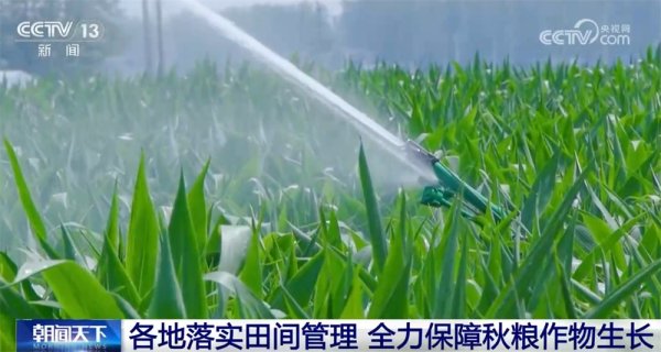 股配所 智“绘”田管图&#32;科技为全力保障秋粮作物生长装上“数字大脑”