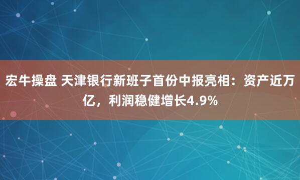 宏牛操盘 天津银行新班子首份中报亮相：资产近万亿，利润稳健增长4.9%
