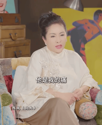 股鑫宝 向太回应为什么不提小儿子向佑