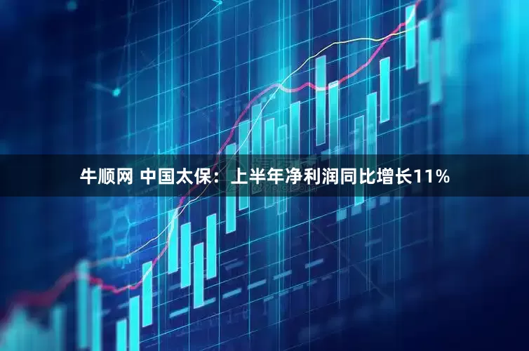 牛顺网 中国太保：上半年净利润同比增长11%